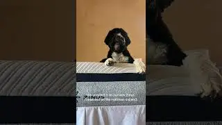 Unboxing Zinus' Ultra Cooling Green Tea Memory Foam Mattress