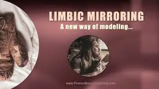 Limbic Mirroring, a new way of modeling