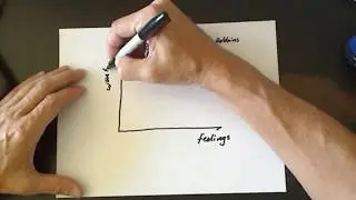 Feelings are Different from Wantings