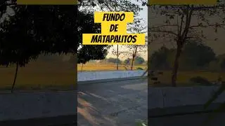 Cesar Espa&ntilde;a nos regala esta linda canci&oacute;n 🎵 Fund&oacute; de Matapalitos. #apure #parrandeandoconosmil