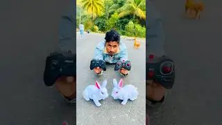 RC Remote Control 2 Tah Rabbit And Ki Testing Deko