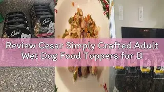 Review Cesar Simply Crafted Adult Wet Dog Food Toppers for Dry Food, Chicken, 1.3 oz Tubs, 10 Count