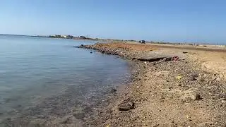 Red Sea Fish collection and unloading beach, Yanbu city, Saudi Arabia.#travel #redsea 