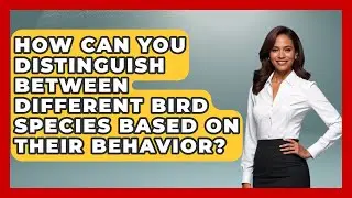 How Can You Distinguish Between Different Bird Species Based on Their Behavior?