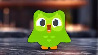 Взволнованный Duolingo