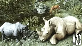 Ultimate Rhino Simulator - Wild Animals | Rhinoceros Simulator | RKM Gaming | Wild Rhinoceros | #23