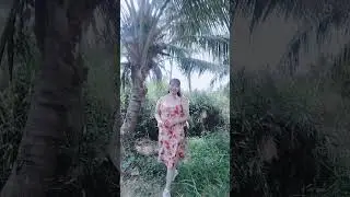 Traditional folk songs