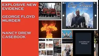 GEORGE FLOYD MURDER A  POLITICAL MANIPULATION BY A CRIMINAL ENTERPRISE
