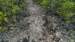 Lataban Hills, Lilo-an