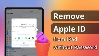 [4 Ways] How to Remove Apple ID from iPad without Password