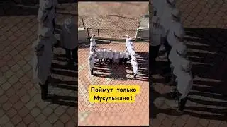 Что Изобразили дети из Медресе! #shotrs