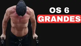 OS 6 GRANDES EXERCÍCIOS PARA GANHAR MÚSCULOS E COMO CONFIGURAR NA DIVISÃO DE TREINO 