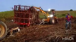 Dezatolando o carro  de cana