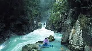 528 hz DNA Healing/Chakra Cleansing Meditation/Relaxation Music Removes Toxins and Negativity