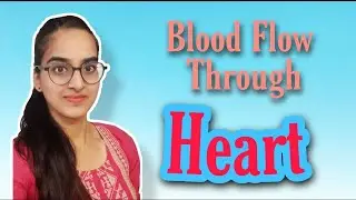 Blood Flow system Through Heart