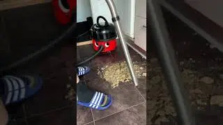 A little pile of dirt for Henry the Hoover