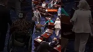 Elizabeth Warren falls over during US Senate session