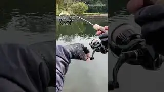 【AREA TROUT Fishing】 CHELSEA F♯Snakey glow（Rob lure）2022.10.23