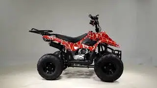 Kanis Powersports - 110cc KIDS ATV, KIDS QUAD