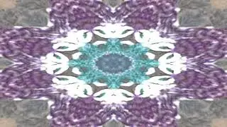 Rising Shapes