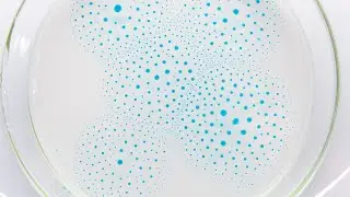 Evaporation, entropy and the Marangoni effect