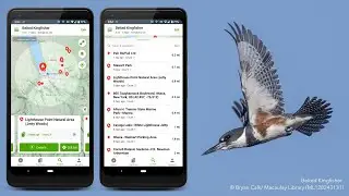 eBird Tips and Trick: Maximizing Your Use of the World&rsquo;s Largest Citizen Science Database