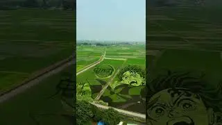 The most unique rice field in Japan #tanjiro #demonslayer #kimetsunoyaiba