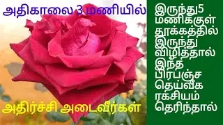 காலை 3 மணியில் இருந்து 5 மணிக்குள் விழிப்பு வருகிறதா இது பிரபஞ்சம் தரும்தெய்வீகஅழைப்பு|Spritual Time