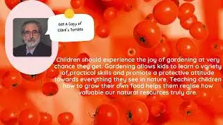 🍅📚  