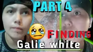 FeedingForStray | Finding Galie White (Part 4) #strayanimals #adoptdontshop