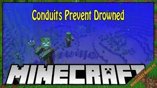 Conduits Prevent Drowned Mod 1.17.1 & How To Install for Minecraft