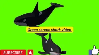 green screen shark video | shark attack video | shark swim video | No Copyright video