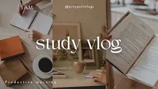 A Calm Study Day | Study Motivation Vlog Indian | Hindi StudyVlog #pritypretivlogs @pritypretivlogs
