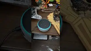 alexas bad jokes day 9001 #fire #alexa #gaming #jokes #helpmemakethismakesense #funny #funnyjokes