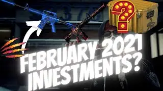 February 2021 Investing Guide For CS GO - CSGO Investment Guide 2021