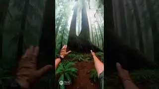 It&rsquo;s alive #shorts #foundfootage #discovery #history #artifact #mysterious #pov