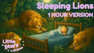 Sleeping Lions | 1 Hour Gentle Male Vocal Acoustic Lullaby for Babies & Toddlers