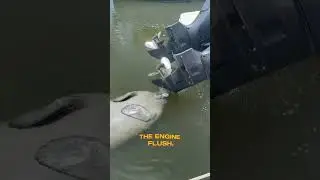 This Yamaha Outboard Engine Flush Hack Surprised an Unexpected Guest