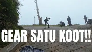 YAMAHA PG-1 KE MOSSY FOREST (RAW)