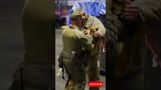 K9 Dog  #tacticalshooter #dogs #k9 #usa #tacticalk9 #shortsvideo #shortvideo #k9policedogs