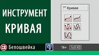 Кривая - инструмент программы Valentina. Школа шитья Белошвейка.