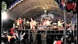 raib-denis arista