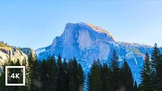 Yosemite Snowfall Ambience in 4K | National Park in Winter with White Noise for Sleep and Relaxing