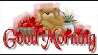 Good Morning Videos | Funny Good Morning whatsapp video message for friends