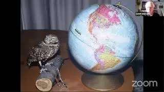 Tracking Burrowing Owls to Determine Conservation Needs in Prairie Canada, with Dr. Geoff Holroyd
