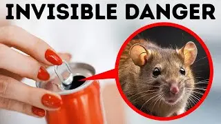 Is Your Home Really Safe? // Everyday Things With Hidden Risks