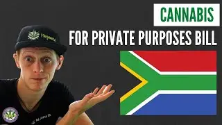 Lawyers Explain The Cannabis for Private Purposes Bill Process