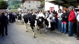 Désalpe à Albeuve.