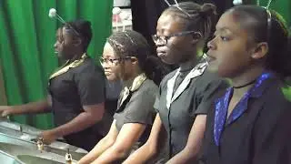 Livin' la Vida Loca  (Hampton School Blueprint Steel Band) Echoes 2023