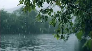 Soft Rain Sounds for Deep Sleep-Relaxing Night Rain|Heavy Rain for sleep,Calm Rain Sounds